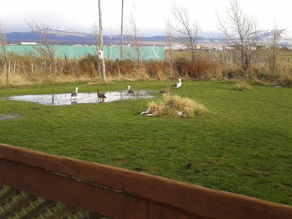 Cabanas Y Casa Kauken Puerto Natales Esterno foto